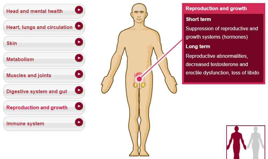 conception, fertility, stress, job tension, reproductive organs