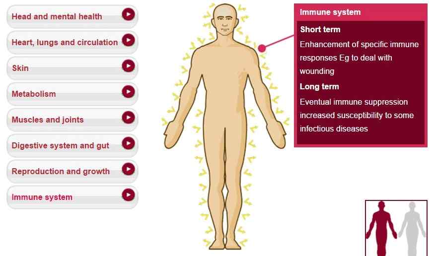 Immune system, infectious diseases, wounds, immune response, immune suppression